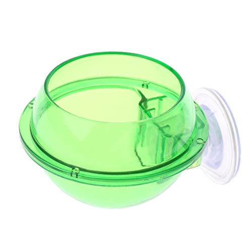 Wjsdsg Reptilien Futterspender Mit Saugnapf Anti Flucht Reptilienfutternapf Wassernapf Lebendfutterbehälter Für Chamäleon Wjsdsg Reptilien Futterspender Mit Saugnapf Anti Flucht Reptilienfutternapf Wassernapf Lebendfutterbehälter Für Chamäleon von Wjsdsg