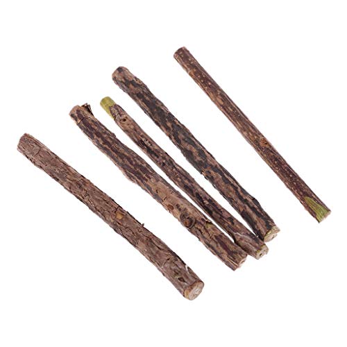 Wkldjf Interaktiv Für Katze Und Kätzchen Zahnen Kauspielzeug Für Aggressive Kauen Für Zähneputzkauen Spielzeug Natural Silvervine Sti Wkldjf Interaktiv Für Katze Und Kätzchen Zahnen Kauspielzeug Für Aggressive Kauen Für Zähneputzkauen Spielzeug Natural Silvervine Sti von Wkldjf