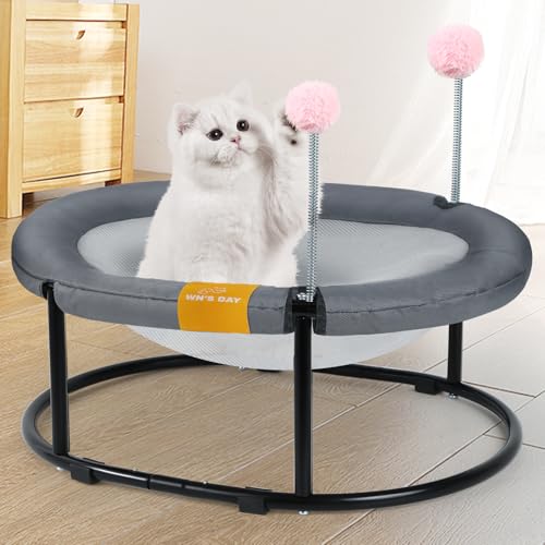 Erhöhte Katzenhängematte für drinnen und draußen, große Katzen, erhöhtes Haustierbett, stabil und atmungsaktiv, einfache Montage, kleines Outdoor-Katzenbett zum Schlafen von Kätzchen, Hund, ovale Erhöhte Katzenhängematte für drinnen und draußen, große Katzen, erhöhtes Haustierbett, stabil und atmungsaktiv, einfache Montage, kleines Outdoor-Katzenbett zum Schlafen von Kätzchen, Hund, ovale von Wn's Day