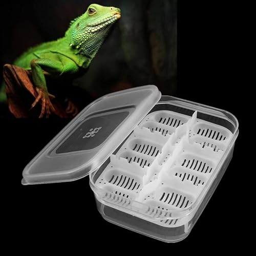 12 Reptilien Eier Inkubator Tablett Gecko Schlange Vogel Amphibien Schlüpfen Fall Zucht Werkzeuge Box von WnewTools
