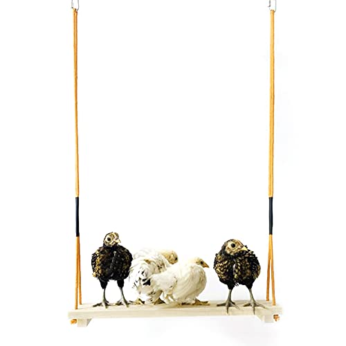 Wnvivi Huhn aus Holz stehende Schaukel Spielzeug,Hölzerne Geflügel Stand Barsch,Hängende Schaukel Sitzstange für mittlere und große Papageien von Wnvivi