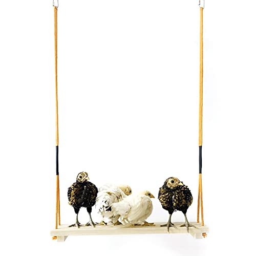 Wnvivi Huhn aus Holz stehende Schaukel Spielzeug,Hölzerne Geflügel Stand Barsch,Hängende Schaukel Sitzstange für mittlere und große Papageien Wnvivi Huhn aus Holz stehende Schaukel Spielzeug,Hölzerne Geflügel Stand Barsch,Hängende Schaukel Sitzstange für mittlere und große Papageien von Wnvivi