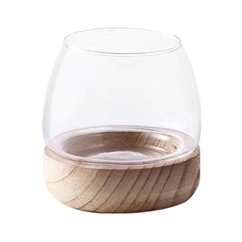 Wnvivi Klarglas-Fischschale mit Holzsockel, Hydrokultur-Fischglasvase, runde Glas-Schale für Wohnzimmerdekoration, 10 cm von Wnvivi