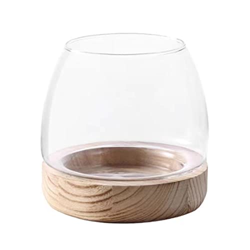 Wnvivi Klarglas-Fischschale mit Holzsockel, Hydrokultur-Fischglasvase, runde Glas-Schale für Wohnzimmerdekoration, 12,5 cm von Wnvivi