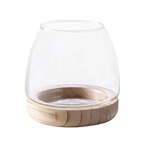Wnvivi Klarglas-Fischschale mit Holzsockel, Hydrokultur-Fischglasvase, runde Glas-Schale für Wohnzimmerdekoration, 15 cm Wnvivi Klarglas-Fischschale mit Holzsockel, Hydrokultur-Fischglasvase, runde Glas-Schale für Wohnzimmerdekoration, 15 cm von Wnvivi