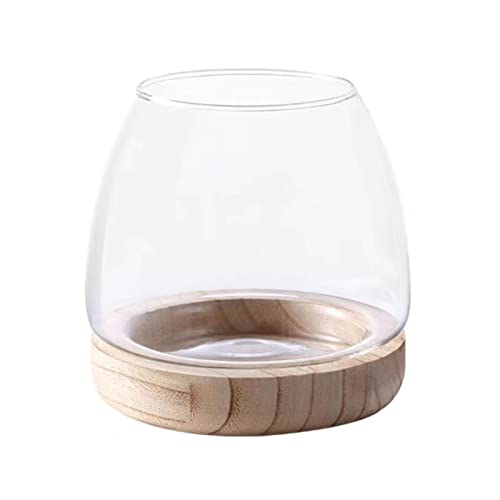 Wnvivi Klarglas-Fischschale mit Holzsockel, Hydrokultur-Fischglasvase, runde Glas-Schale für Wohnzimmerdekoration, 15 cm von Wnvivi