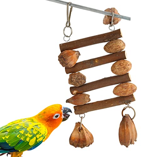 Wnvivi Vogel-Kauspielzeug, Baumstämme, Nüsse, Papageienkäfig-Beißspielzeug, Vogelschaukel, Leiter, Futtersuchspielzeug oder Ara, Turteltauben, Sittiche, Nymphensittiche Wnvivi Vogel-Kauspielzeug, Baumstämme, Nüsse, Papageienkäfig-Beißspielzeug, Vogelschaukel, Leiter, Futtersuchspielzeug oder Ara, Turteltauben, Sittiche, Nymphensittiche von Wnvivi