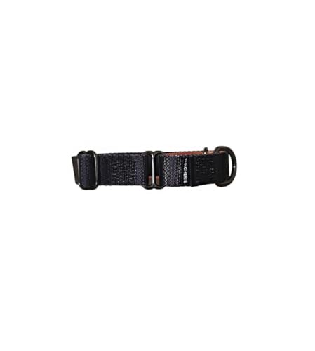 Dog Martingale Halsband, 25 mm Breite (M (27 cm-45 cm), Schwarz/Orange von Wo.Cherie