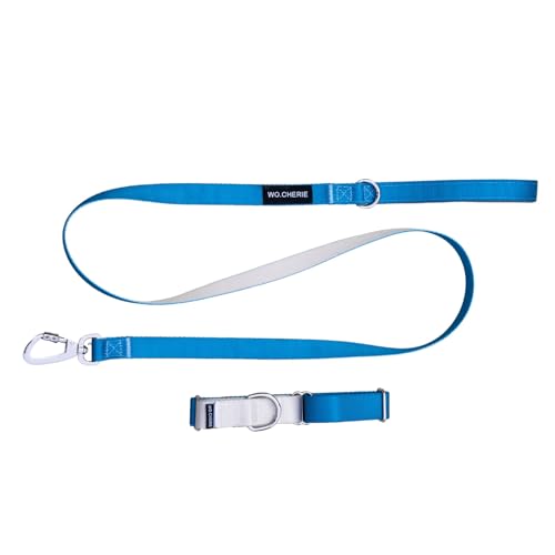 Dog Martingale Halsband 25 mm Breite und Leine 140 cm, Walking Set (Halsband Länge L (45 cm- 66 cm), Blau/Grau von Wo.Cherie