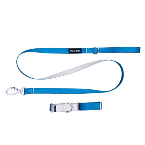 Dog Martingale Halsband 25 mm Breite und Leine 140 cm, Walking Set (Halsband Länge L (38 cm- 66 cm), Blau/Grau von Wo.Cherie