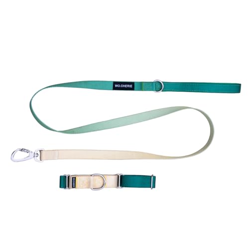 Dog Martingale Halsband 25 mm Breite und Leine 140 cm, Walking Set (Halsband Länge M (27 cm-45 cm), gelb/grün von Wo.Cherie