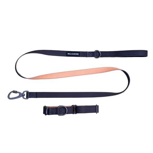 Dog Martingale Halsband 25mm Breite und Leine 140cm, Walking Set (Halskette Lenght M (27cm-45cm), Black/Orange) von Wo.Cherie