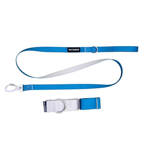 Dog Martingale Halskette 40 mm und Leash, Walking Set (Halskette Lenght L (38 cm- 66 cm), blau/grau) von Wo.Cherie