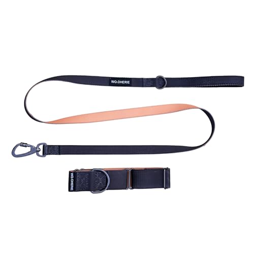 Dog Martingale Halskette 40mm und Leash, Walking Set (Halskette Lenght L (38 cm- 66 cm), schwarz/orange) von Wo.Cherie