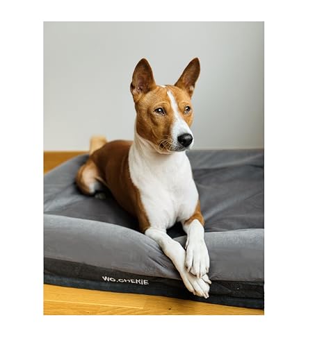 Wo.Cherie Memory Foam Orthopedic Buckle Dog Bed von Wo.Cherie