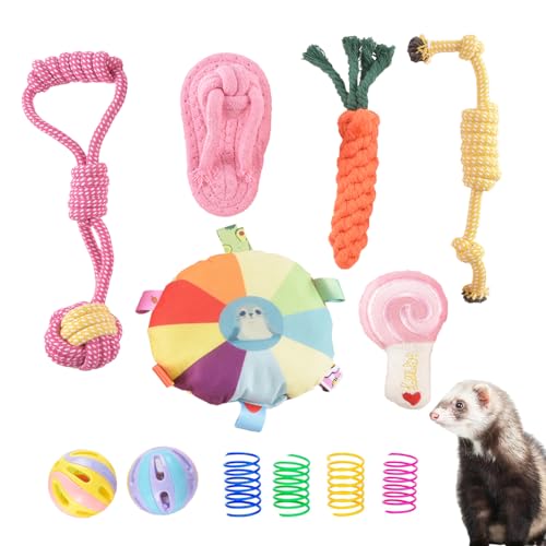 Frettchen-Spielzeug-Set, langlebig, bunt, Kau-Seil, quietschend, interaktiver Klang, Kaubälle, Übungs-Kratzspielzeug für Frettchen, Ratten, Kleintiere, 13 Stück (mehrfarbig) von WoYous