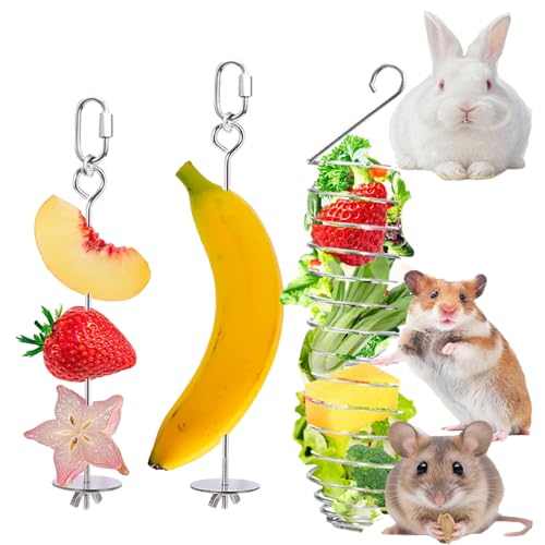 Ratten-Anreicherungsspielzeug, Edelstahl, langsamer Futterspender für Ratten, Spielzeug, Mäuse, Obst, Gemüse, Futterkäfig, hängendes Zubehör für Maus, Meerschweinchen, Chinchillas, Kaninchen, Freet von WoYous