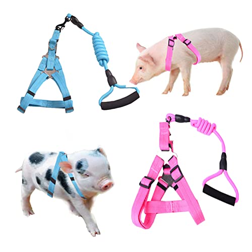 WoYous Mini Schwein Geschirr, 2 Stück Verstellbar Klein Schwein Geschirr mit Leine Set Haustier Schwein Geschirr Zubehör Geschirr Set für Schwein Schwein Kaninchen Kleintiere Walking Jogging (M, Rosa von WoYous