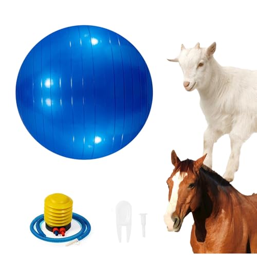 WoYous Pferdeball Haustier Ziege Ball Lamm Spielzeug Pferd Ball Hund Training Übung Ball Spielzeug mit Inflator Pumpe für Haustier Hunde Ziegen Pferde zu Spielen in Outdoor Unterhaltung (Blau) von WoYous