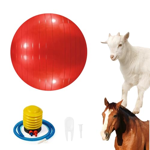 WoYous Pferdeball Haustier Ziege Ball Lamm Spielzeug Pferd Ball Hund Training Übung Ball Spielzeug mit Inflator Pumpe für Haustier Hunde Ziegen Pferde zu Spielen in Outdoor Unterhaltung (Rot) von WoYous