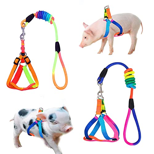 WoYous Verstellbares Schweinegeschirr mit Leine, 2-teiliges Set für Schwein, Schwein, Kaninchen, Kleintiere, Spazierengehen, Joggen (S, mehrfarbig) von WoYous