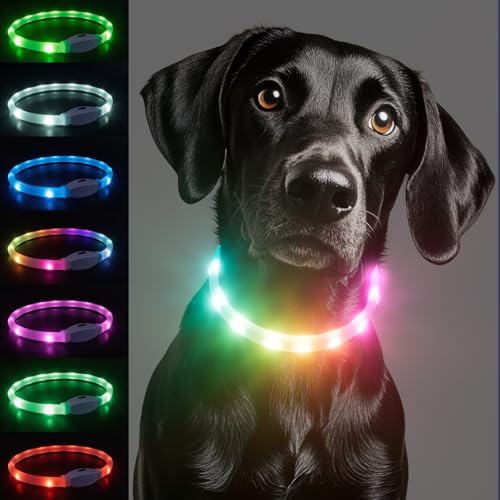 Leuchthalsband Hund, Hundehalsband Leuchtend Aufladbar, Längenverstellbar Led Hundehalsband mit 9 Leuchtmodi, Regendicht Hunde Leuchthalsband für Kleine Mittlere Große Hunde, 70 cm Leuchthalsband Hund, Hundehalsband Leuchtend Aufladbar, Längenverstellbar Led Hundehalsband mit 9 Leuchtmodi, Regendicht Hunde Leuchthalsband für Kleine Mittlere Große Hunde, 70 cm von Wobequ