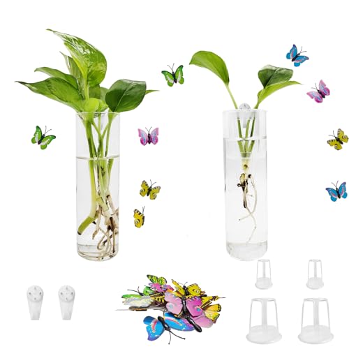 Glas-Terrarium-Behälter, zylinderförmig, ideal für Hydrokulturpflanzen, Zuhause, Büro, Garten, Dekoration, Hochzeit, 2 Stück von Wobodan