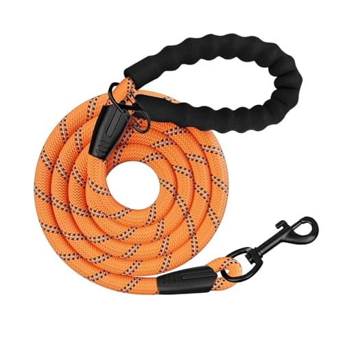 Schleppleine für Hunde, 5m.10m, 20m, 30m, Nylon Reflektierend Lang Robuste Hundeleine, mit Gepolstertem Griff, laufleine für große Hunde (Orange, 3M*1CM) von Wodondog