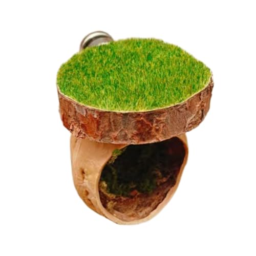 Springspinnen Unterschlupf Höhle Atmungsaktiv Holz Lebensräume Haus für und kleine Reptilien Ruheplatz Terrarium Dekorationen Holz Springgehege Springspinnen Unterschlupf Höhle Atmungsaktiv Holz Lebensräume Haus für und kleine Reptilien Ruheplatz Terrarium Dekorationen Holz Springgehege von Woedpez