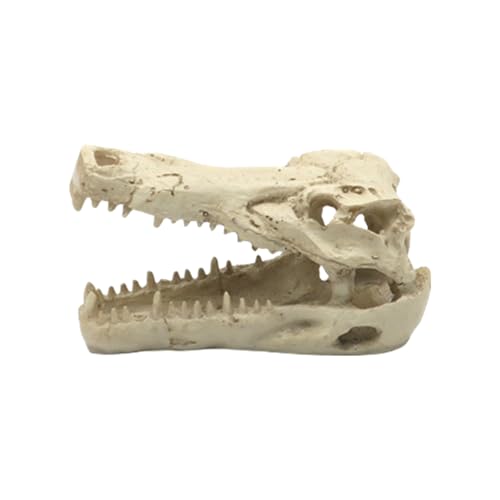 Woedpez Künstliche Alligatoren, Totenkopf, Landschaft, Aquarien, Dekorationen für Aquarien, Terrarien, Garnelen, Totenkopf, Ornamente Woedpez Künstliche Alligatoren, Totenkopf, Landschaft, Aquarien, Dekorationen für Aquarien, Terrarien, Garnelen, Totenkopf, Ornamente von Woedpez