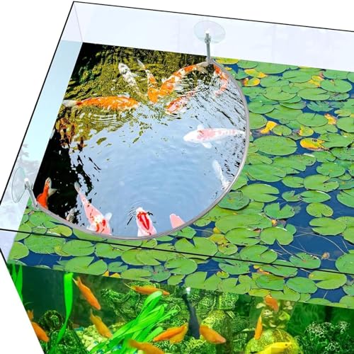Woedpez Saugnapf Schwimmender Pflanzenkorral Schwimmender Pflanzenzaun Aquarien Lebensraumdekorationen Aquarien Futterfütterungsringe Trennwand Woedpez Saugnapf Schwimmender Pflanzenkorral Schwimmender Pflanzenzaun Aquarien Lebensraumdekorationen Aquarien Futterfütterungsringe Trennwand von Woedpez