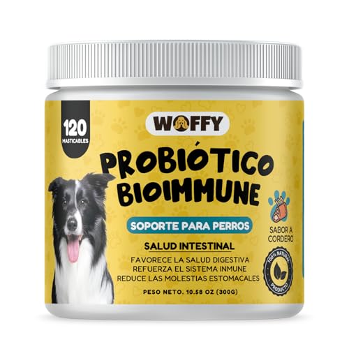 Woffy Bioimmune Probiotika & natürliche Verdauungsenzyme für Hunde | stärkt die Darmflora, verbessert die Gesundheit des Verdauungssystems & stärkt das Immunsystem | 120 Kauen Woffy Bioimmune Probiotika & natürliche Verdauungsenzyme für Hunde | stärkt die Darmflora, verbessert die Gesundheit des Verdauungssystems & stärkt das Immunsystem | 120 Kauen von Woffy
