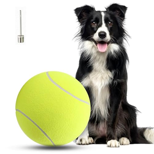 Wofypetny Riesiger Hunde-Tennisball, 24,1 cm, großes Haustierspielzeug, lustiger Outdoor-Sportball mit aufblasbaren Nadeln für kleine, mittelgroße und große Hunde von Wofypetny