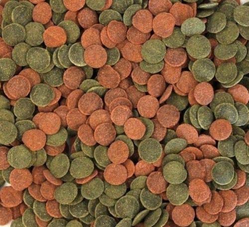 Wohnkult Hausmarke Mini Wafers Spirulina Color und Mix für alle Corydoras u. Bodenbewohner Krebse Garnelen UVM. TOP Futter Fischfutter (1000 ml Mix) von Wohnkult