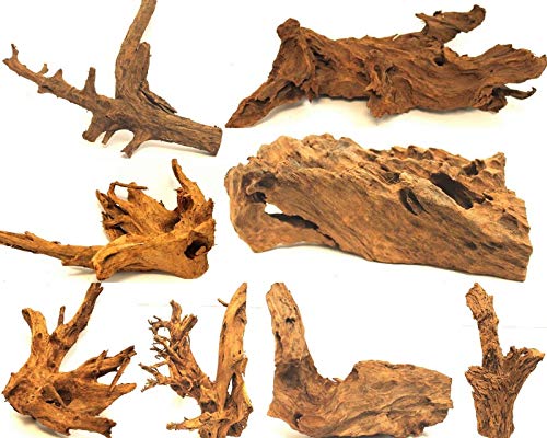Wohnkult Mangrovenwurzel XL 45-60 cm Deko Aquarium Wurzel Holz Mangrove von Wohnkult