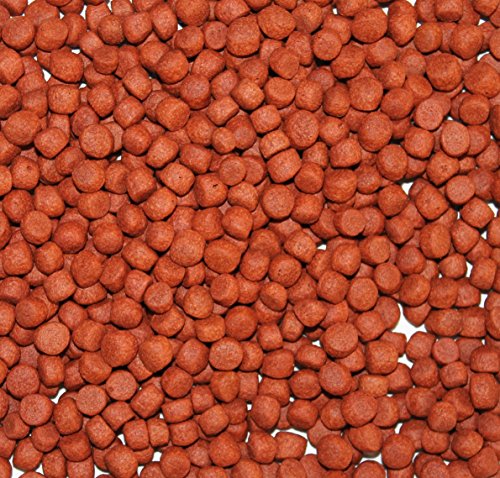 Wohnkult TOP Premium Koifutter Colour Color in 3 mm und 6 mm 5 Liter und 10 Liter Teich Koi Goldfisch Stör (6 mm / 10 Liter) von Wohnkult