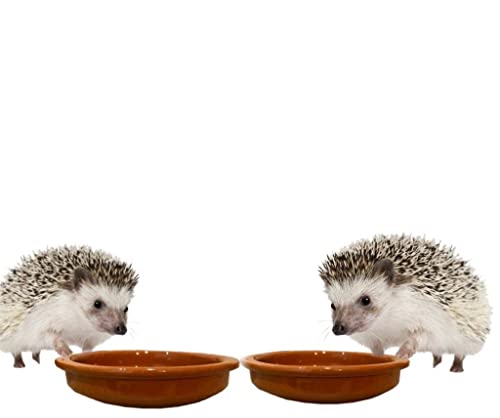 Woid Herz Futterspender für Igelhaus 2er Set Igel Futterschale Igelfutterschüssel Woid Herz Futterspender für Igelhaus 2er Set Igel Futterschale Igelfutterschüssel von Woid Herz