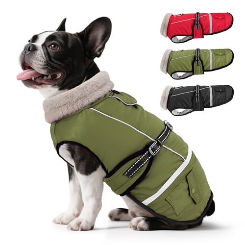 Woiil Hundemantel Winter, Hundemantel Wasserdicht für Kleine Hunde mit Verstellbaren Schultergurten, Hundejacke aus Fleece, Reflektierende Streifen, Geeignet für Französische Bulldogge(S,Olivgrün) von Woiil