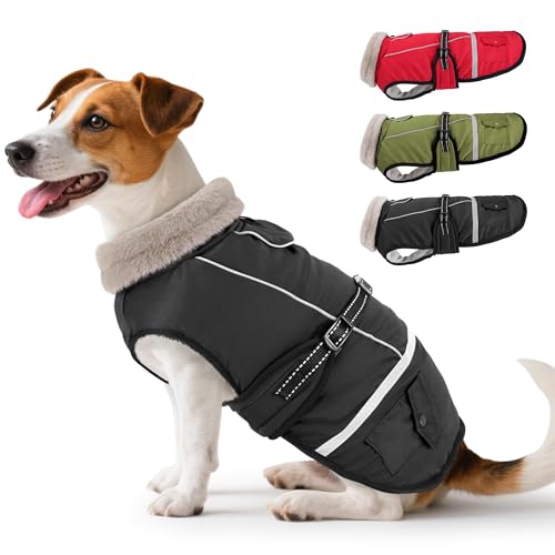 Woiil Hundemantel Winter, Hundemantel Wasserdicht für Kleine Hunde mit Verstellbaren Schultergurten, Hundejacke aus Fleece, Reflektierende Streifen, Geeignet für Jack Russells (M,Schwarz) von Woiil