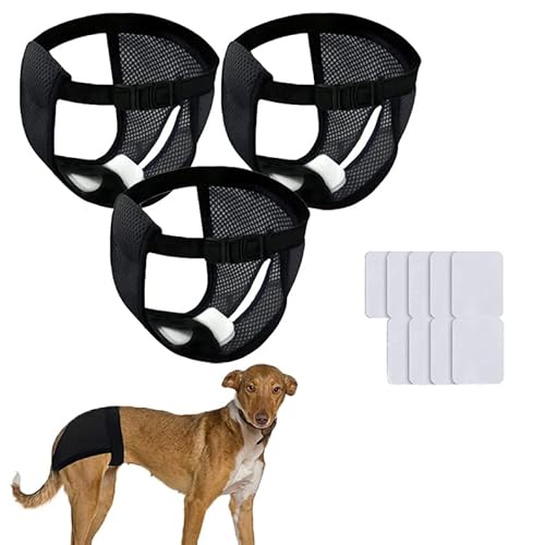 Hundewindeln, aus Netzstoff, waschbar, wiederverwendbar, für Haustierwindeln, super saugfähig, kein Auslaufen, mit verstellbarem Schnappverschluss für große Hunde, groß in Hitze (schwarz, M) von Wokyo
