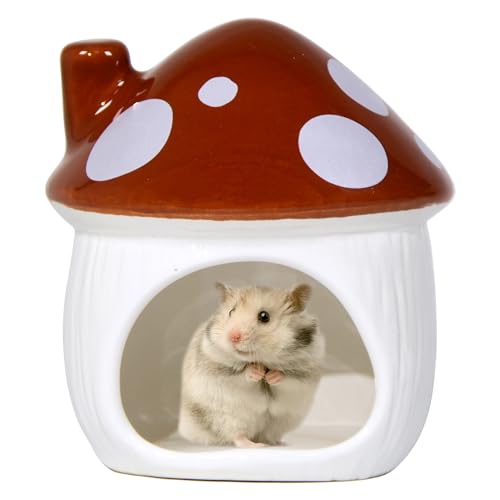 Pilzförmiges Keramik-Hamster-Bett – ideales Versteck für kleine Haustiere für Zwerghamster, Rennmäuse, Mäuse, Ratten, Chinchillas und Meerschweinchen (braun) von Woleigiao