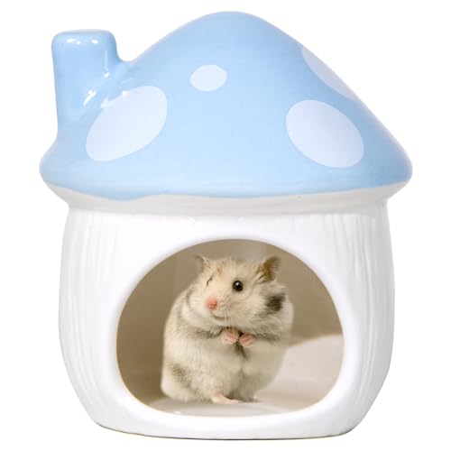 Woleigiao Pilzförmiges Keramik-Hamster-Versteckbett – ideales Versteck für kleine Haustiere für Zwerghamster Rennmäuse Mäuse Ratten Chinchillas und Meerschweinchen (blau) von Woleigiao