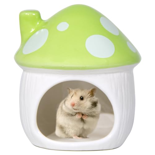 Woleigiao Pilzförmiges Keramik-Hamster-Versteckbett – ideales Versteck für kleine Haustiere für Zwerghamster Rennmäuse Mäuse Ratten Chinchillas und Meerschweinchen (grün) von Woleigiao