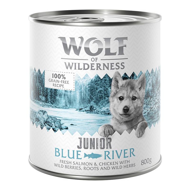 15 % Rabatt: 12 x 800 g Wolf of Wilderness  - JUNIOR Blue River - Huhn & Lachs von Wolf of Wilderness