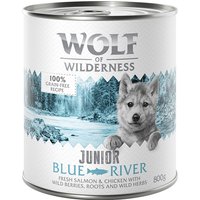 Sparpaket Little Wolf of Wilderness Junior 24 x 800 g - Duo-Protein - Blue River Junior - Huhn & Lachs von Wolf of Wilderness