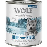 Sparpaket Wolf of Wilderness "Freiland-Fleisch" Junior 12 x 800 g - Junior Blue River - Freiland-Huhn & Lachs von Wolf of Wilderness