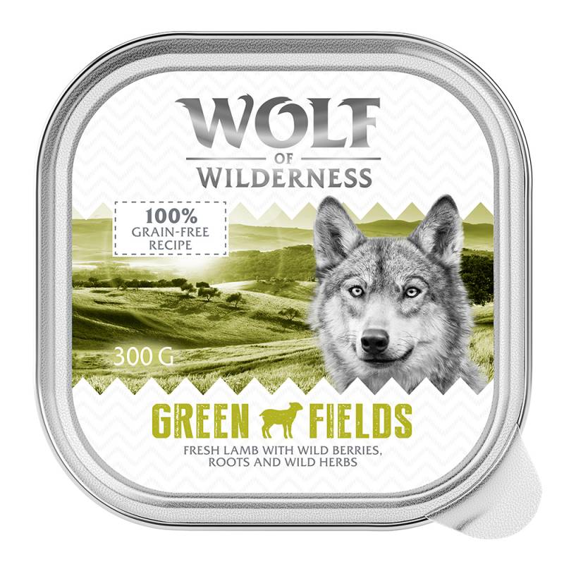 Wolf of Wilderness Adult - Single Protein 6 / 24 x 300 g Schale  - 6 x 300 g: Green Fields - Lamm von Wolf of Wilderness