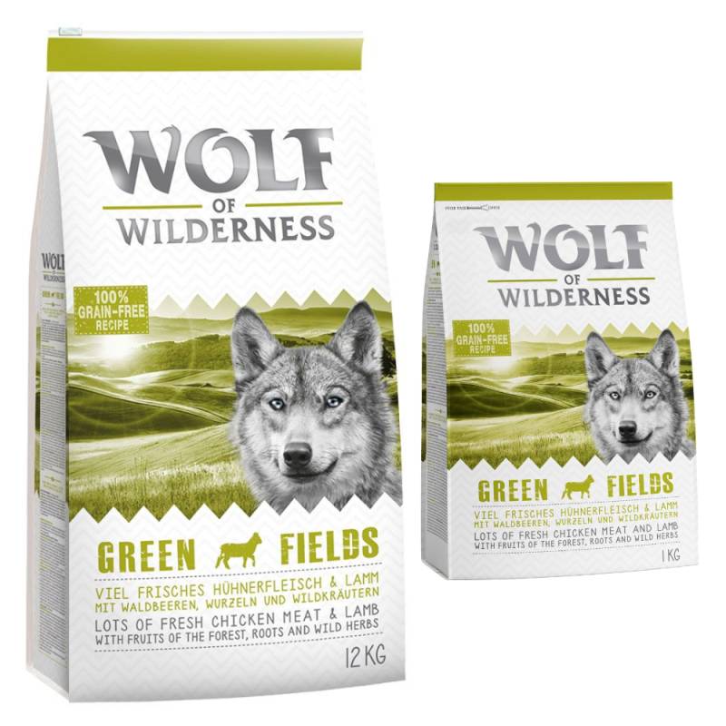 Wolf of Wilderness Adult "Green Fields" Lamm - getreidefrei - 12 + 2 kg gratis! 14 kg von Wolf of Wilderness