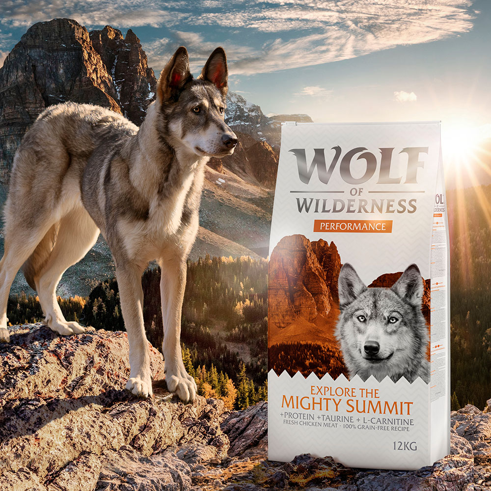 Wolf of Wilderness "Explore The Mighty Summit" Performance - getreidefrei - 400 g: neue Rezeptur Wolf of Wilderness "Explore The Mighty Summit" Performance - getreidefrei - 400 g: neue Rezeptur von Wolf of Wilderness