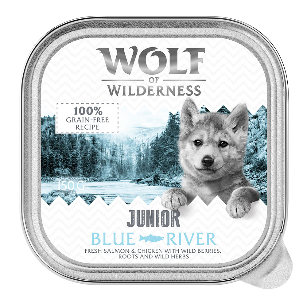 Wolf of Wilderness JUNIOR - Duo-Protein Rezeptur 6 / 24 x 150 g Schale - 24 x 150 g Wild Hills - Ente & Kalb Wolf of Wilderness JUNIOR - Duo-Protein Rezeptur 6 / 24 x 150 g Schale - 24 x 150 g Wild Hills - Ente & Kalb von Wolf of Wilderness